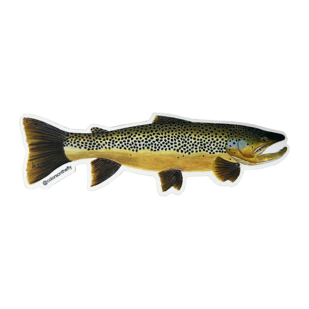 Mike Pepper "Colors on the Fly" 6" Brown Trout Sticker
