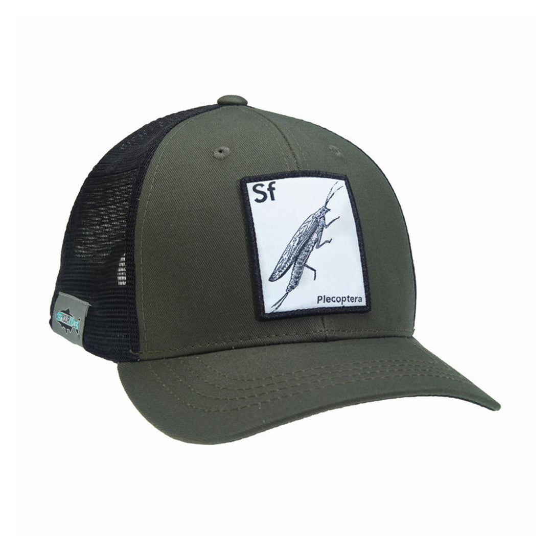 Rep Your Water Periodic Stonefly