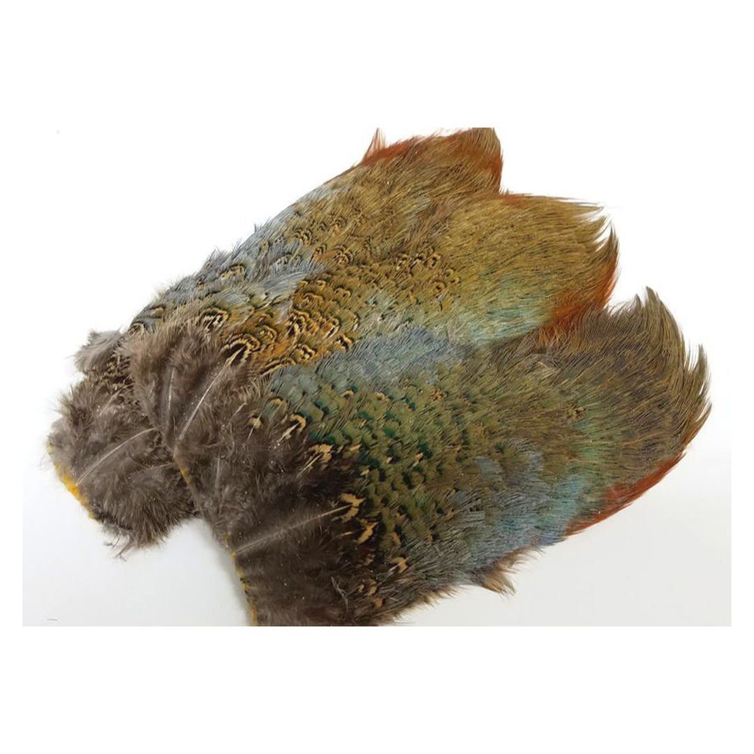 Ringneck Pheasant Rump Patch