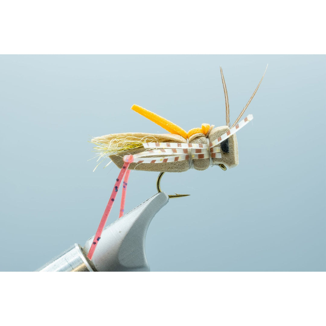 Secret Sauce Hopper Tan #12