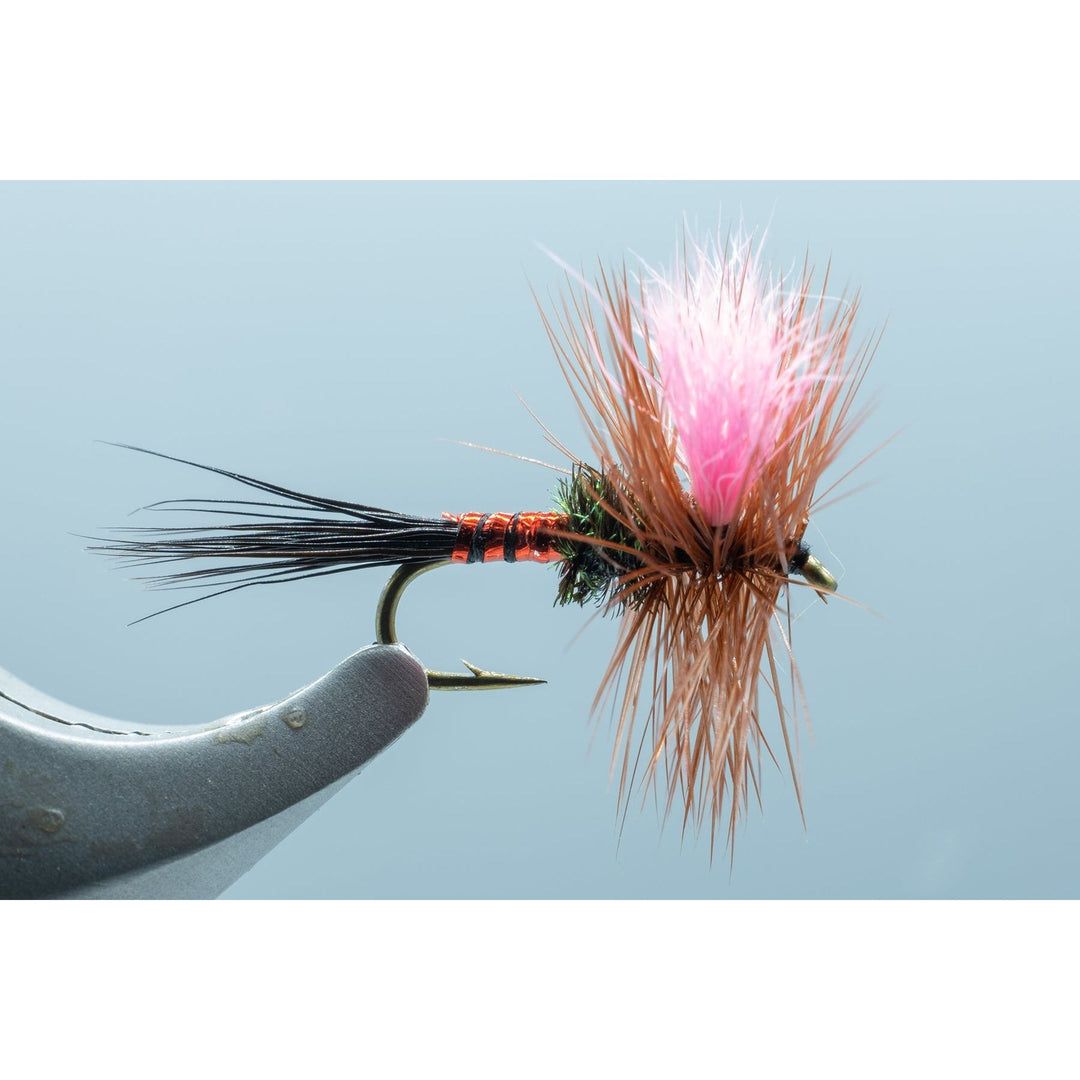 Dorsey's Cherry Limeade #16 - Madison River Fishing Company