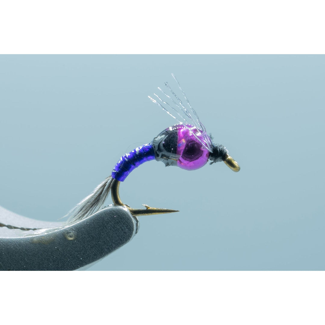 Wiese's Tungsten Euroflash Nymph Purple #18 - Madison River Fishing Company