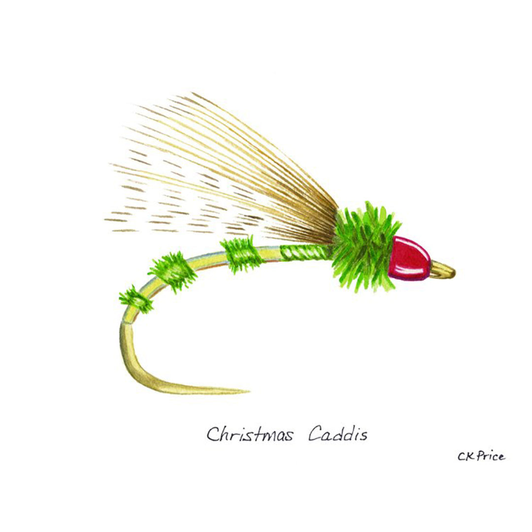 Caroline Price Art - Christmas Caddis 5 Pack w/ Envelops