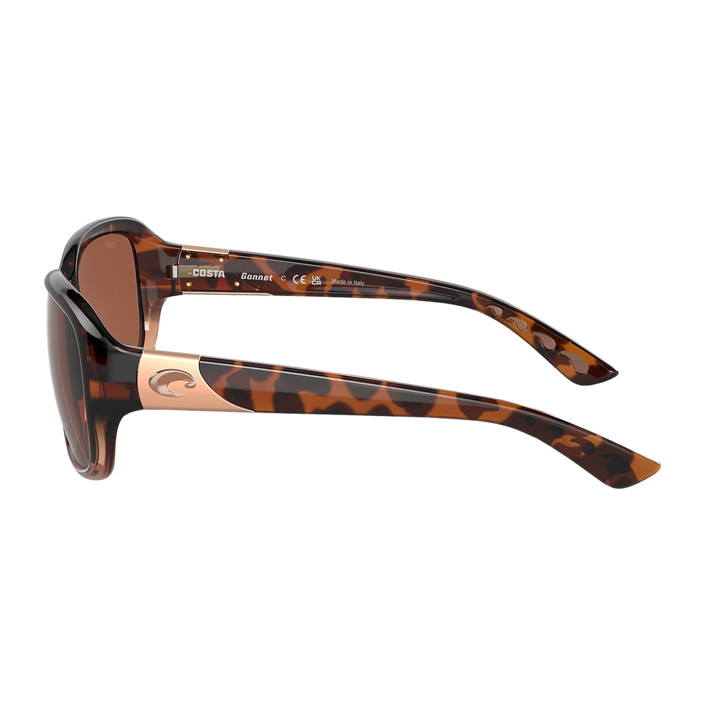 Gannet Sunglasses Shiny Tortoise Fade Copper 580P