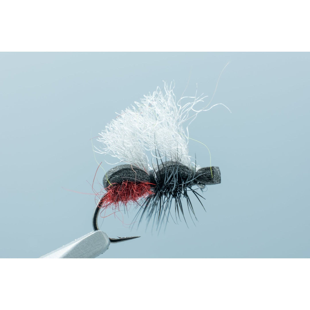 Stubby Ant Freed Red/Black #14