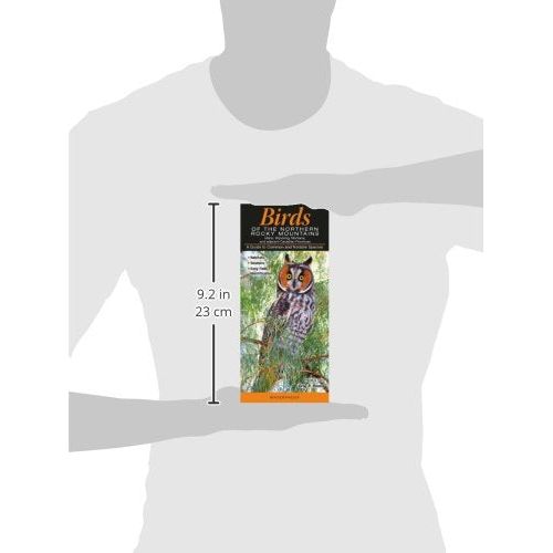 Birds-Rocky Mountain Quick Reference Guide