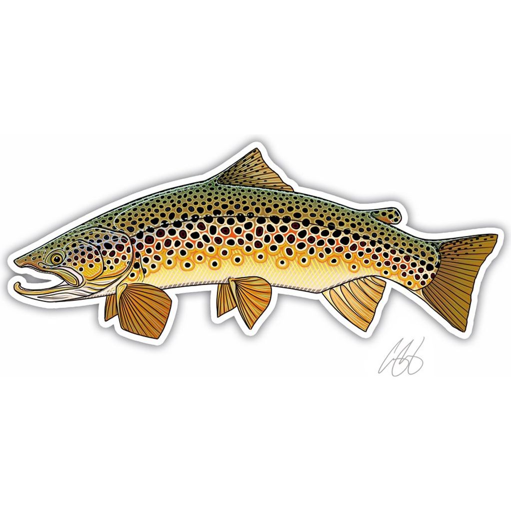 Brown Trout Sticker