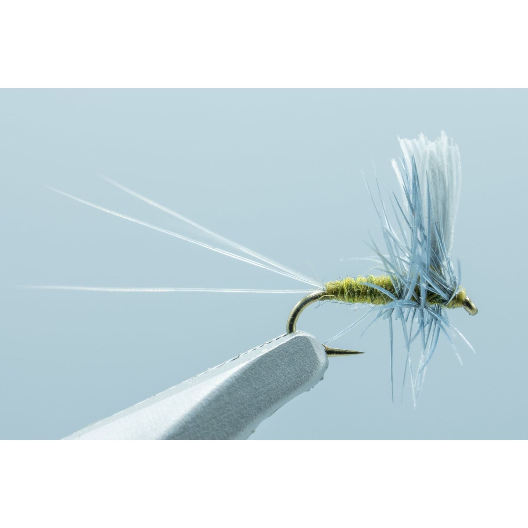 Thorax Long Tailed BWO – Madison River Fishing Company