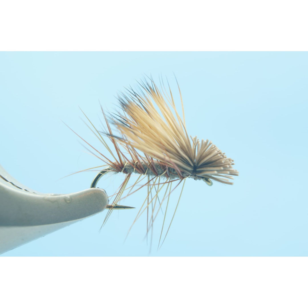 Elk Hair Caddis Grey - 1 Doz.