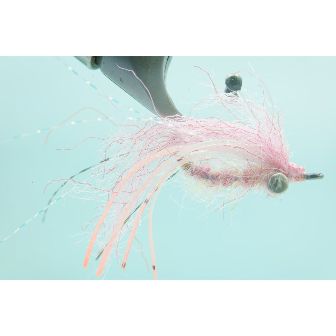 Ghost Shrimp Pink #6