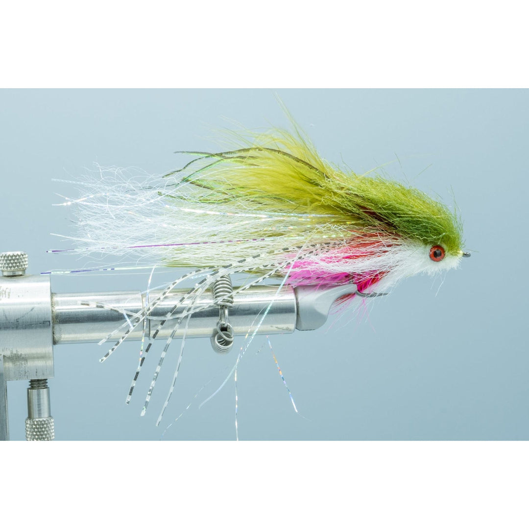 Satkowski's Baby Rainbow