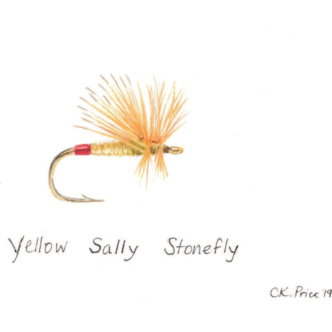 Caroline Price Art Yellow Sally Stonefly Framed