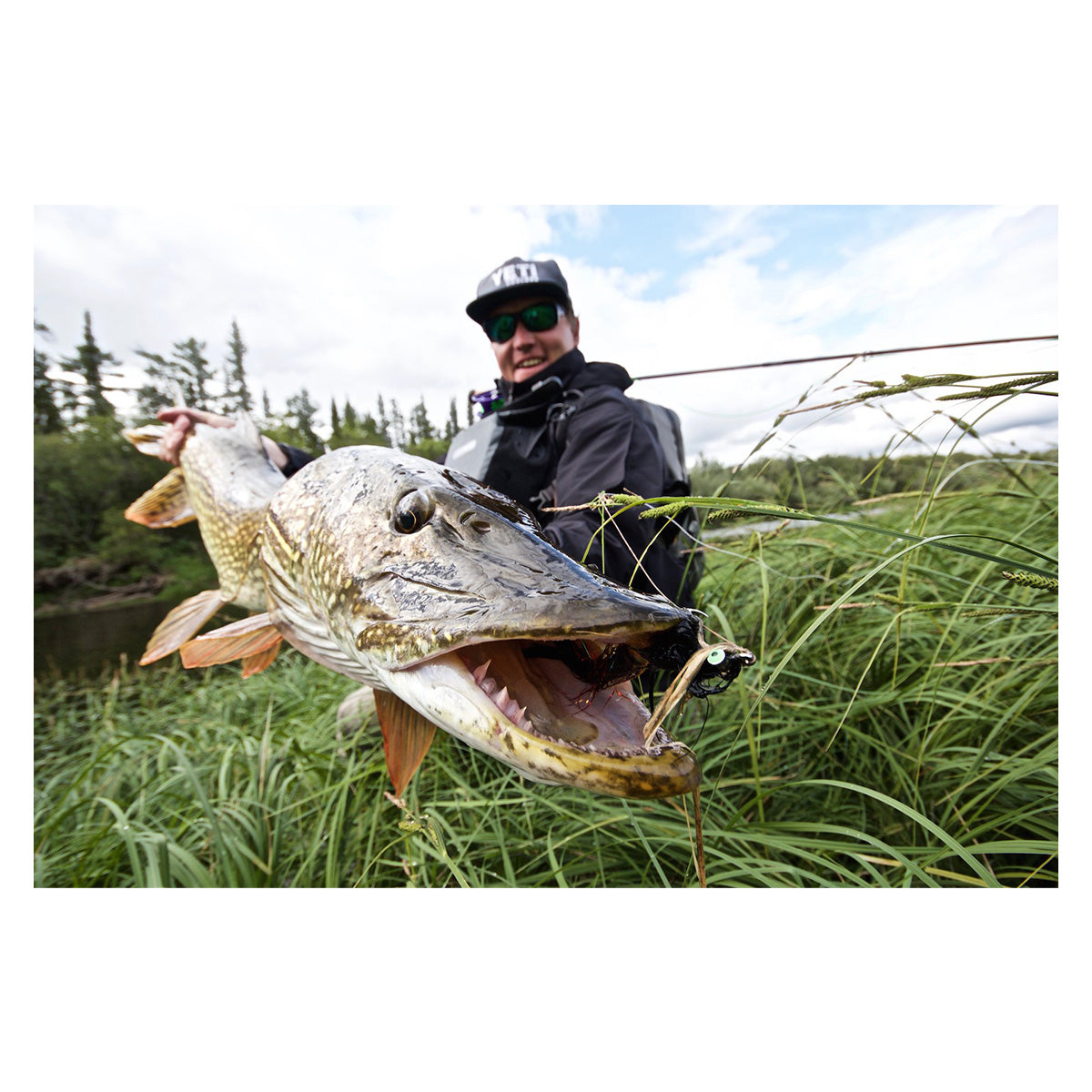 Thomas & Thomas Exocett Predator Fly Rod 9'4