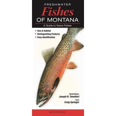 Fishes Quick Reference Guides