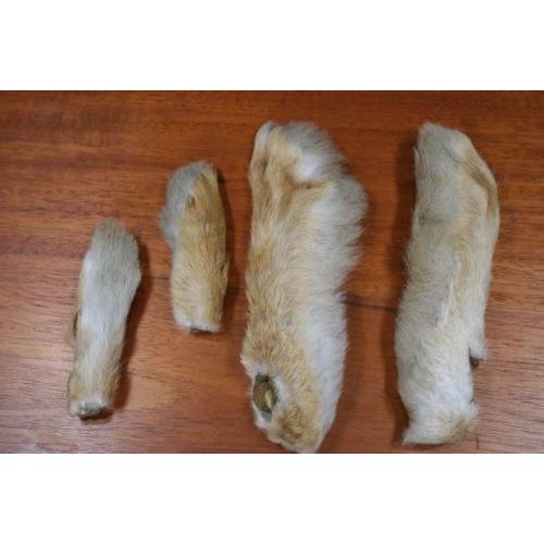 Nature Spirit Snowshoe Rabbit Foot