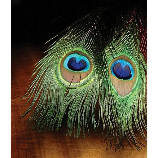 Peacock-Eye Sticks-4 Pack