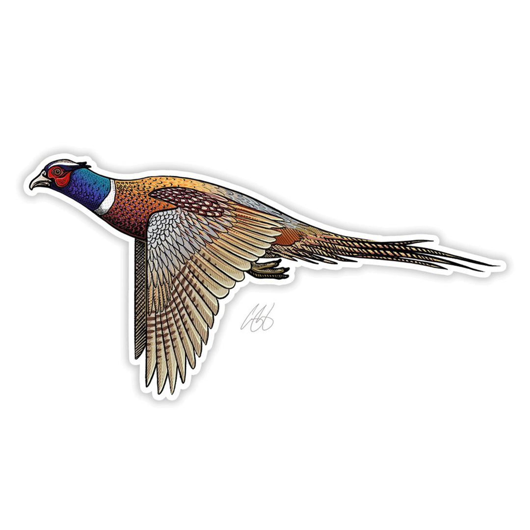 Ringneck Pheasant Sticker