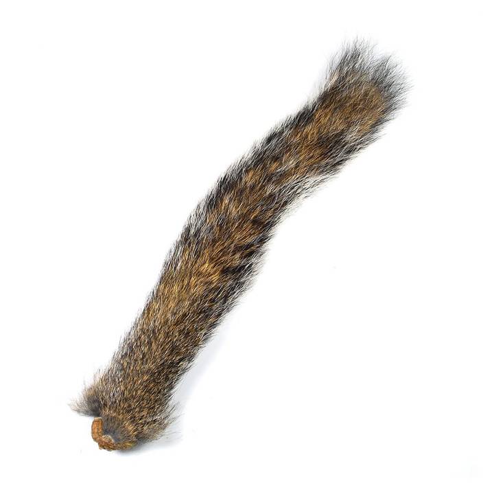 Squirrel Tails