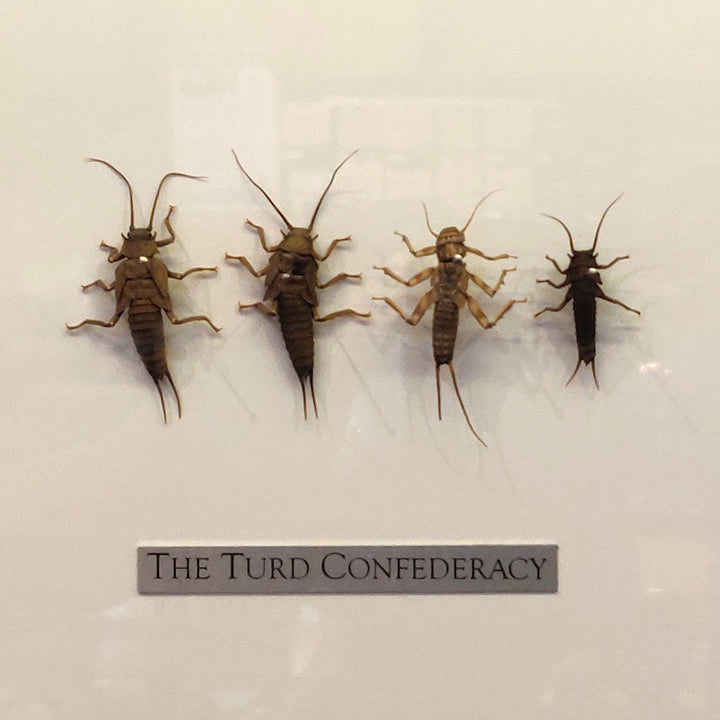The Turd Confederacy Sticker