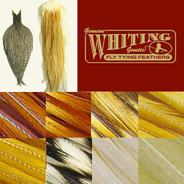Whiting Cape Bronze